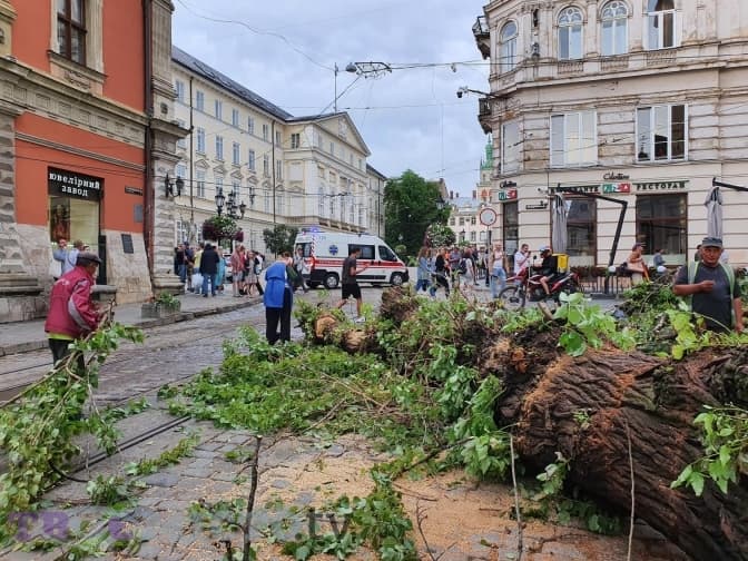 Фото: Тарас Бабенчук