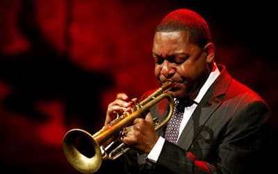 Hero Image