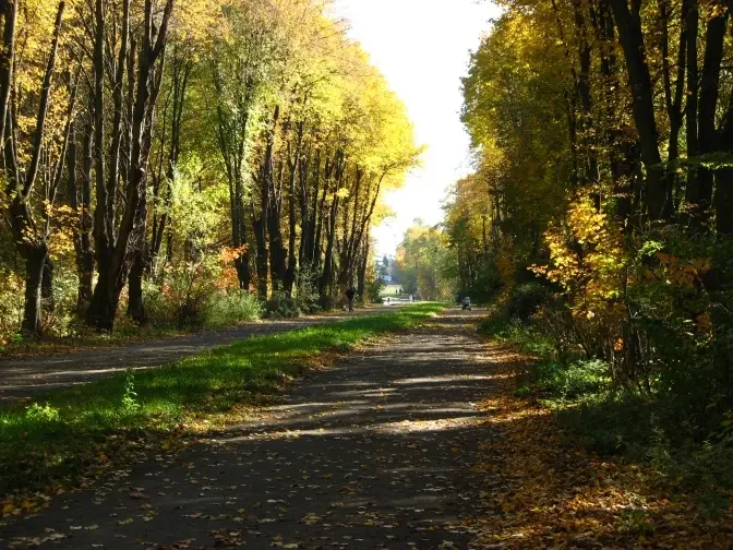 Фото: Вікіпедія