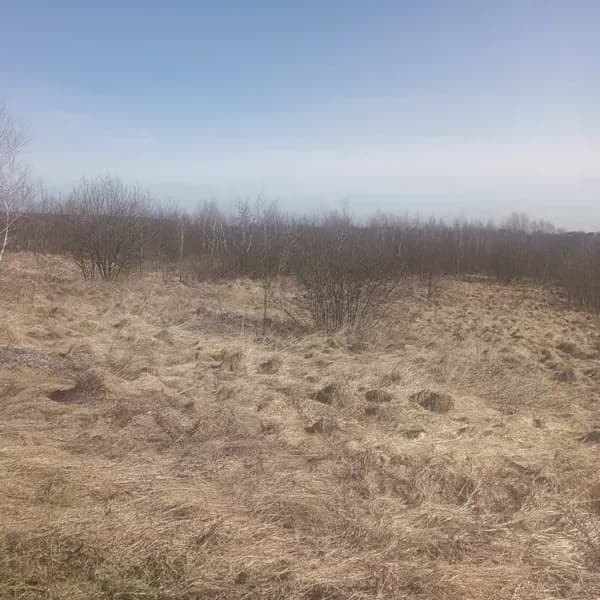 Земельна ділянка за межами м. Комарно / фото: Prozzoro