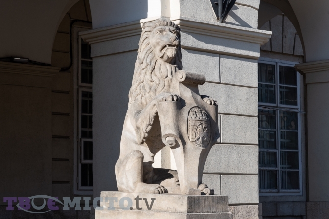 Леви охороняють Львів, або Як місто рятує свої пам’ятки