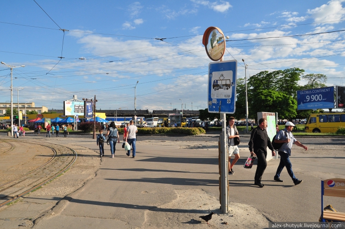 Пасажиру на замітку: дізнатися про зміни у громадському транспорті Львова можна через новий сайт фото 1