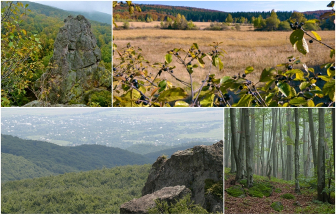 10 заповідних місць українських Карпат (частина перша) - фото
