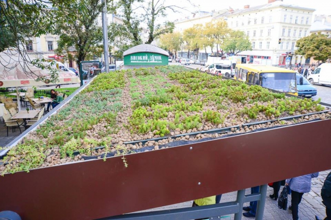 Як виглядає перша зелена зупинка у Львові (фото) фото 1