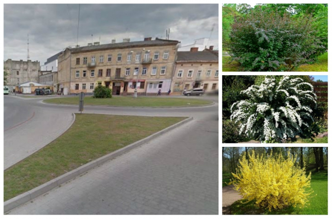Як озеленять найбрудніші локації Львова: візуалізація фото 2