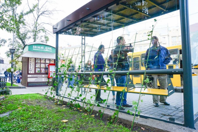Як виглядає перша зелена зупинка у Львові (фото) фото