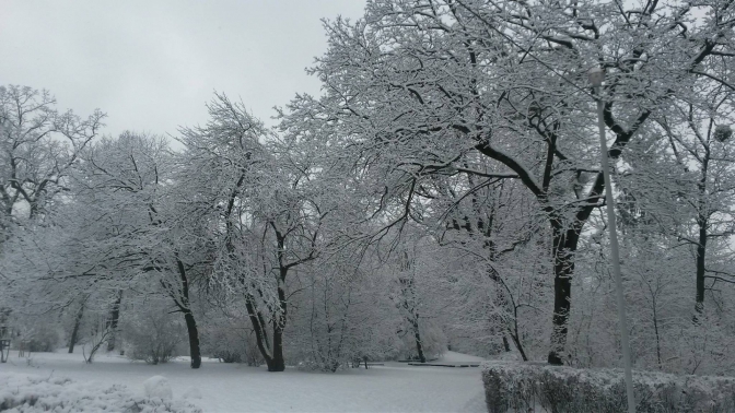 Зимовий настрій: соцмережі заполонили фото засніженого Львова й Карпат фото 11