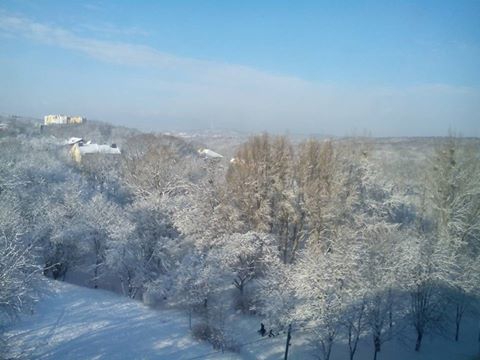 Зимовий настрій: соцмережі заполонили фото засніженого Львова й Карпат фото 1