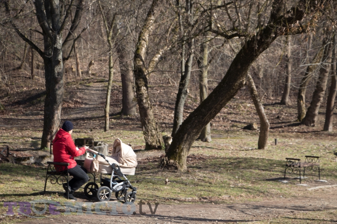 Нове життя Замарстинівського парку: безпечний для людей, комфортний для зайців. Візуалізація