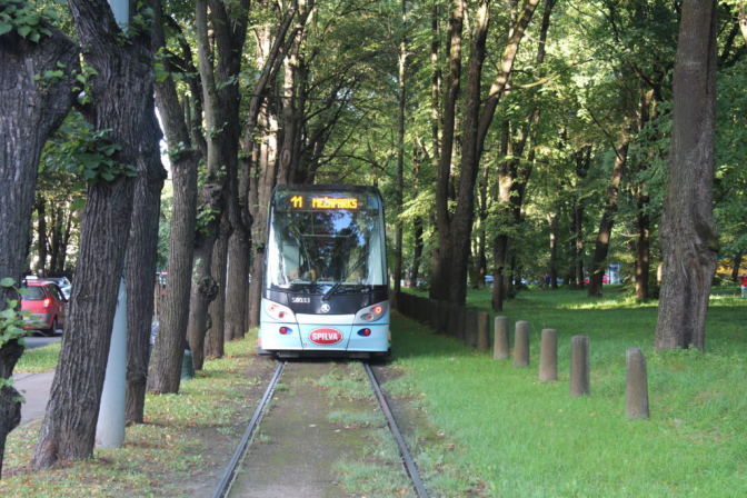 Як озеленять трамвайну колію на Сихів: візуалізація фото 5