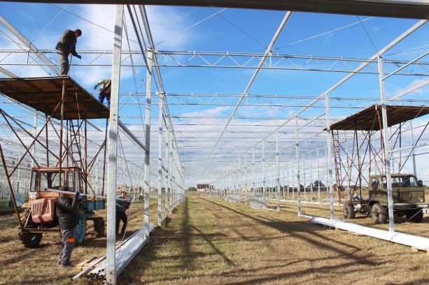 Як виглядає "салатна ферма", яку будують голандці на Львівщині (фото) фото