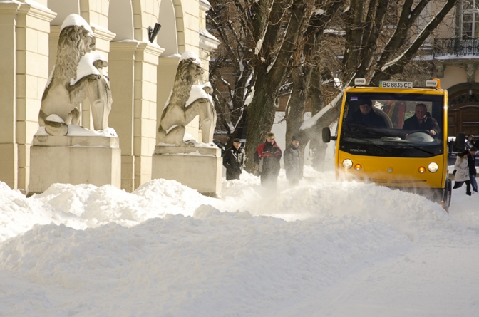 Фото: portal.lviv.ua