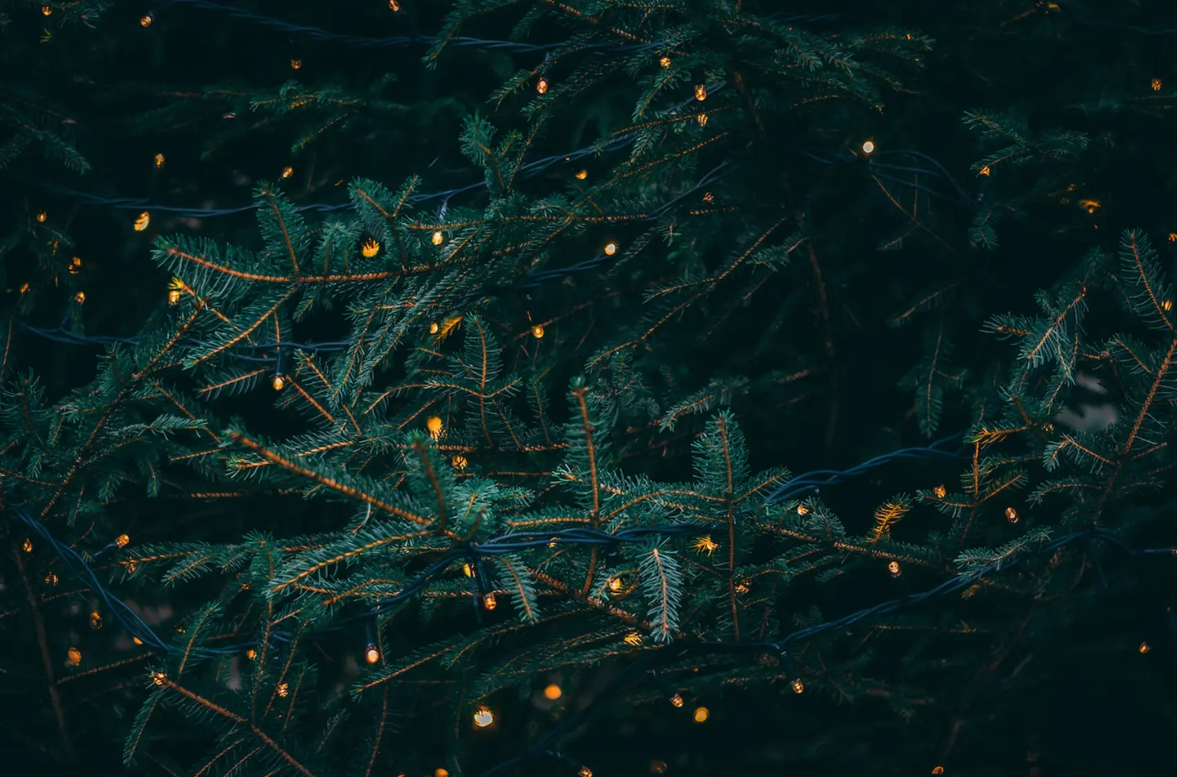 Фото: Unsplash