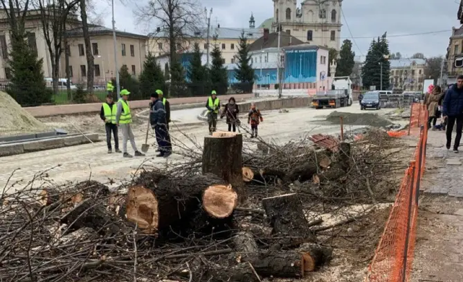 На вулиці Бандери у Львові почали зрізати дерева. Фотофакт