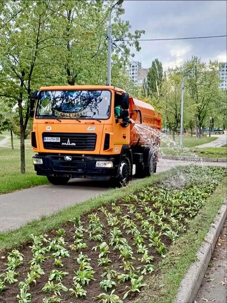 Фото: Київзеленбуд