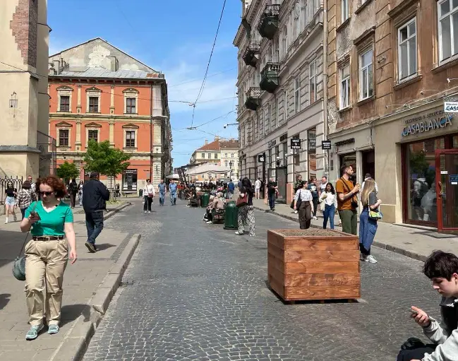 У Львові шукають благодійників для висадки кущів на площі Ринок
