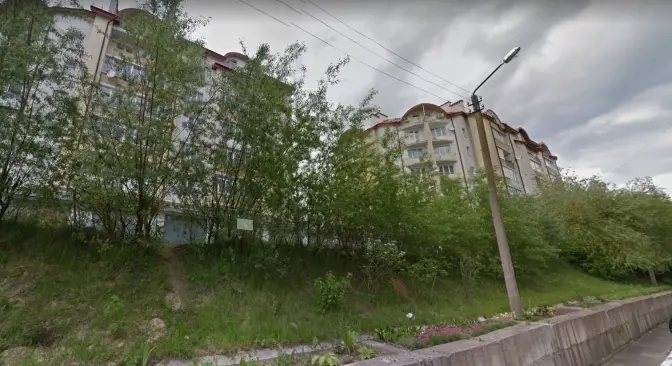 На вулиці Джона Леннона замість зрізаних дерев висадять нові