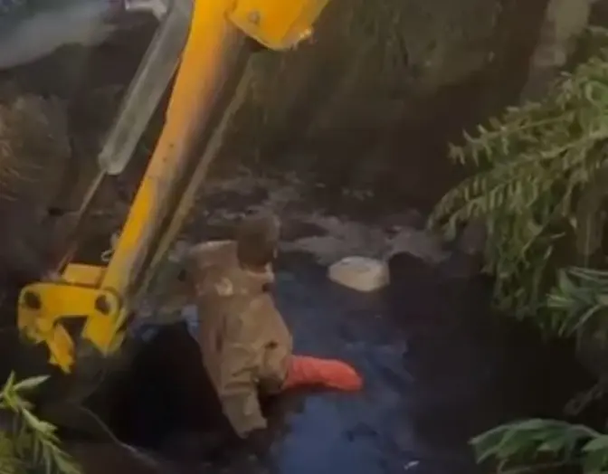 скриншот із відео