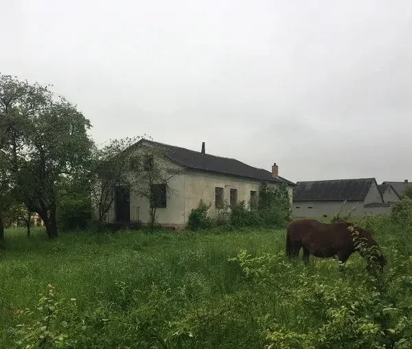 Закинутий комплекс будівель на Львівщині продали за понад мільйон гривень