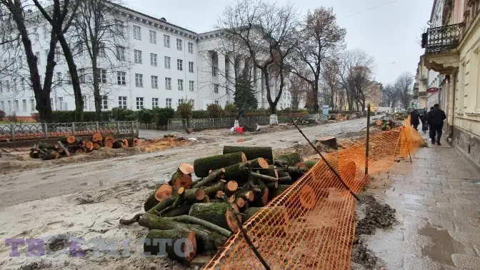 Що насправді відбувається на вулиці Пекарській і як тут рятують від зрізання три старих дерева