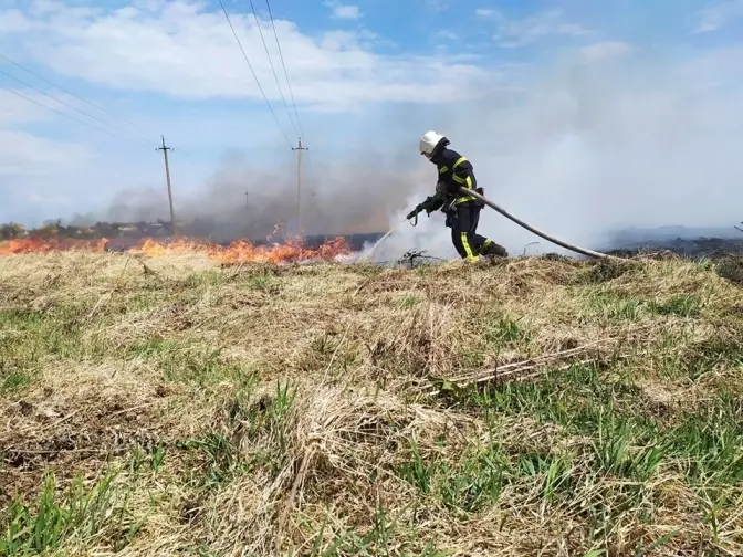 Львівські рятувальники за добу гасили 24 підпали сухої трави