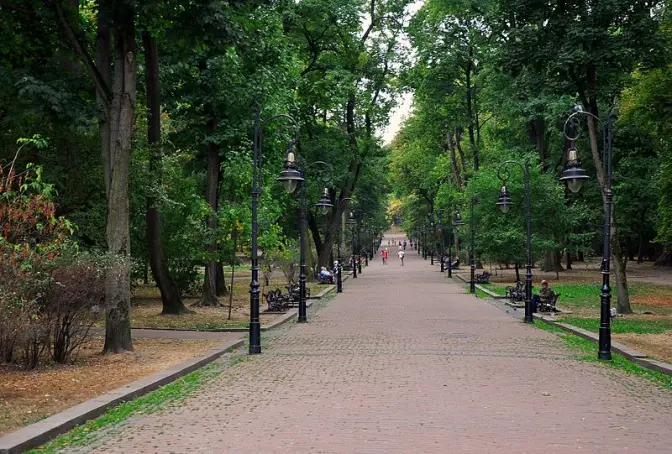 Як у Львові планують покращити якість повітря. Перелік заходів