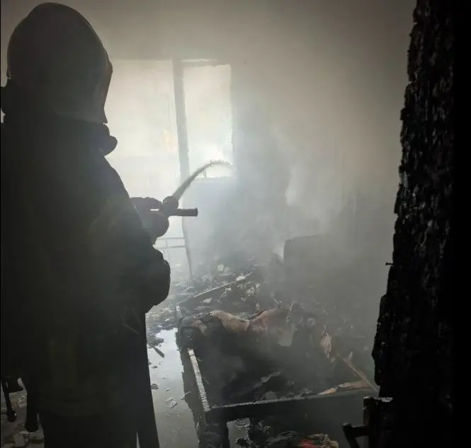 фото: дснс