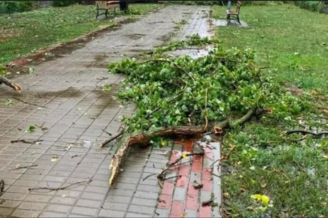 Через негоду у Києві постраждала людина