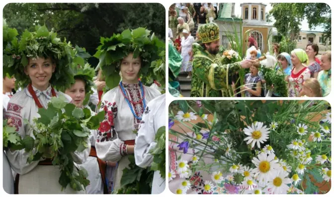 Львів'ян закликають не нищити зелень до свята Трійці