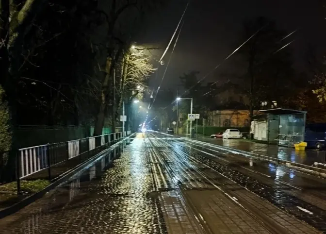 фото: лмр