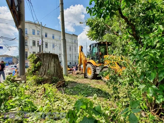 Фото: Дар'я Кучер