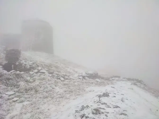У Карпатах випав сніг. Фото