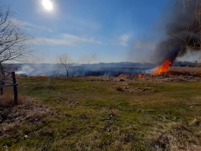 Фото: ДСНС Львівської області