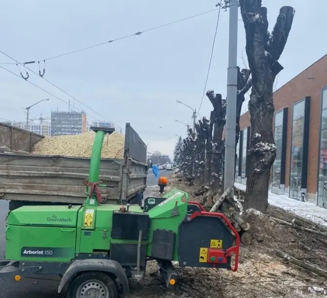 Біля ЛАЗу на вулиці Стрийській зрізають 30 старих тополь. Фото
