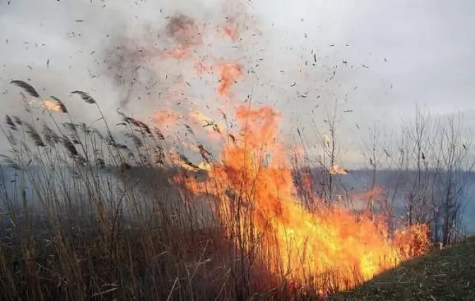 Спалювання сухостою під час війни можуть прирівнювати до диверсій