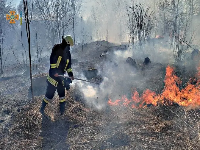 На Львівщині за добу гасили понад 130 пожеж сухої трави