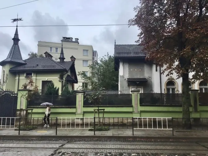 Стало відомо, чому довелося зрізати 15 столітніх гіркокаштанів на вулиці Коновальця