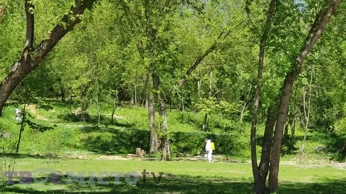 Обробку львівських парків від кліщів переносять