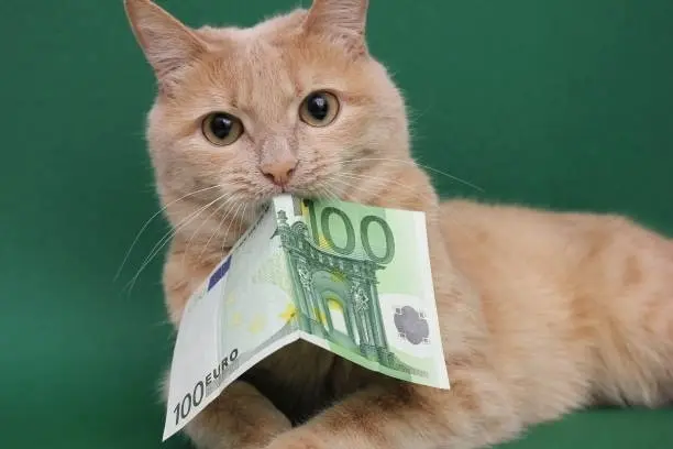 ЄС схвалив виділення Україні 9 млрд євро фінансової допомоги