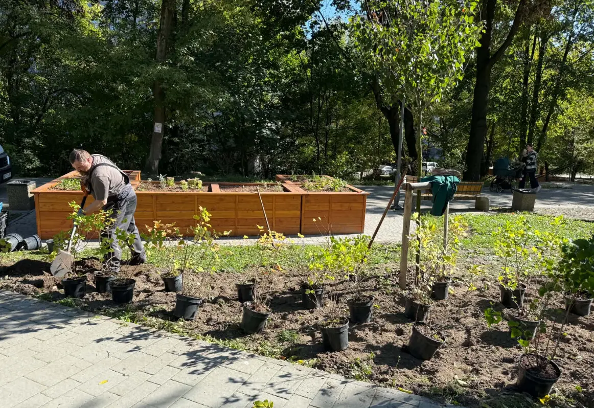 Висаджування рослинності у парках Львова / фото: ЛМР