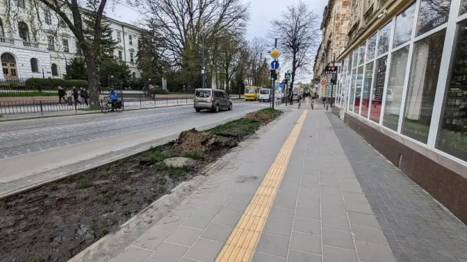 До кінця тижня на вулиці Бандери розпочнуть висаджувати 60 дерев