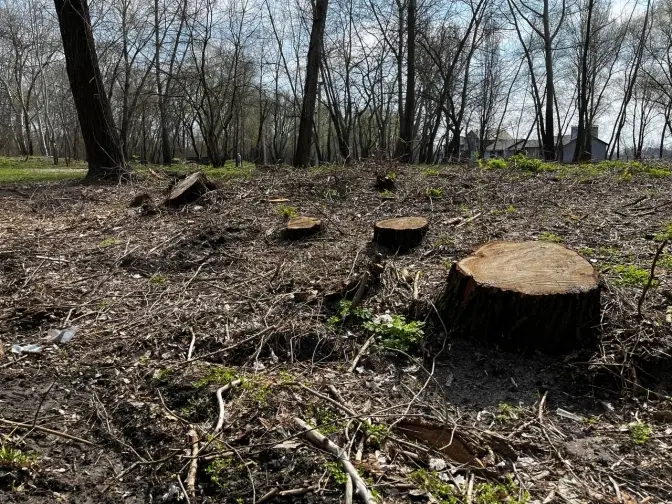 Фото: Парк Прирічна