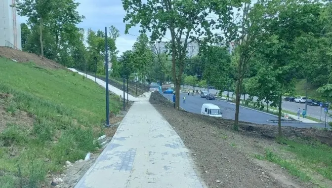 Біля лікарні на Орлика у Львові висадять близько 50 дерев