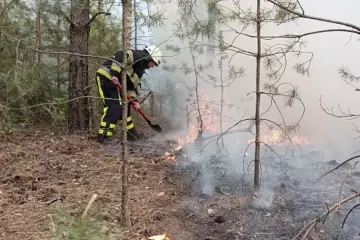 19-21 травня в Києві та області очікується надзвичайний рівень пожежної небезпеки – Укргідрометцентр
