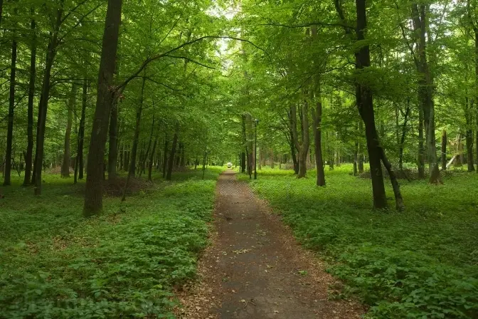 фото умовне