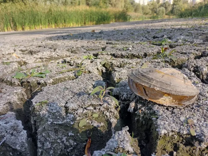 Озеро Синє планують розчистити до кінця року, на це передбачено 35 млн грн