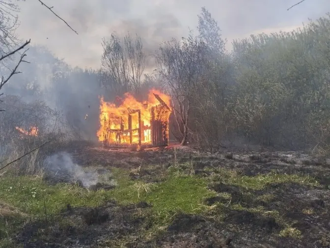 Фото: Департамент екології та природних ресурсів Львівської ОДА