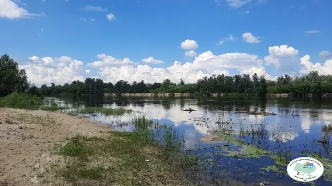 У Десні під Києвом зафіксували найнижчий рівень води за останні 100 років