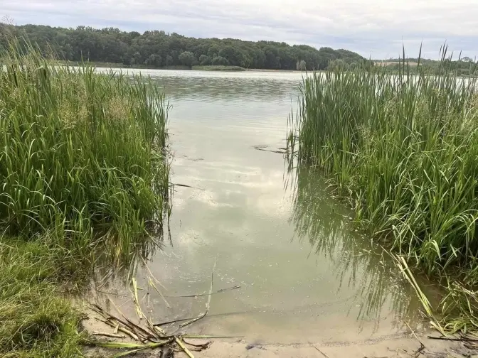фото: Центральна рятувально-водолазна служба Львівської області