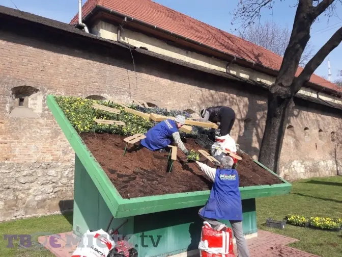 Фото дня: на площі Митній прикрашають квітковий годинник
